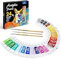 WINSONS Acrylic Paint Set - 24 Colours Fabric Paint for Canvas, Ceramic, Crafts, Fabric, Wood, Paper, Rock Painting - Non Toxic, Vibrant Pigments for Beginners, Students - Art Supplies (12ml Each)