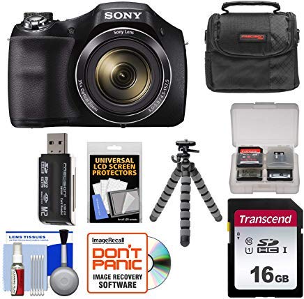 Sony Cyber-Shot DSC-H300 Digital Camera with 16GB Card + Case + Flex Tripod + Kit
