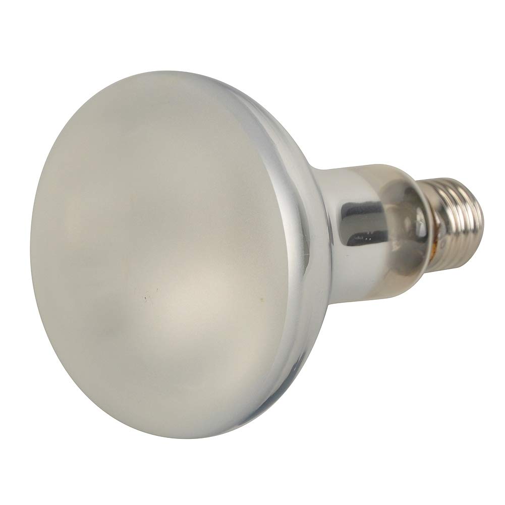 LUCKY HERP Lampadina a vapore di mercurio UVA UVB per rettili, 80 Watt, filettatura R95, E27, garanzia di sei mesi (satinata)