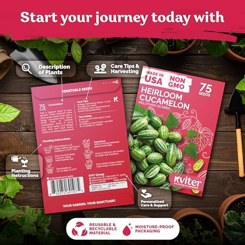 KVITER 75 Cucamelon Seeds for Planting (Melothria Scabra) – Mexican Sour Gherkin Seeds, Gherkin Cucumber, Mexican Mini Watermelon – Heirloom Vegetable Seed for Outdoor & Indoor Garden, Containers - View 4
