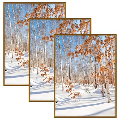 Golden State Art 18x24 Bronze Aluminum Poster Frame Acrylic Front 3 Pack