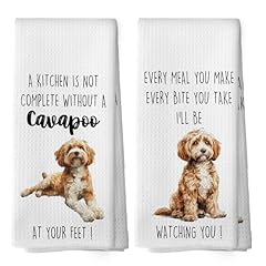 Cavapoo