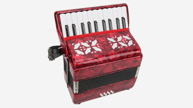 Amazon.com: BTER Piano Accordion, 8 Bass 22-Key Exquisite