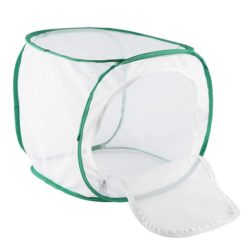 Gabbia pieghevole per farfalle 30x30x30 cm Habitat insetti rete cerniera