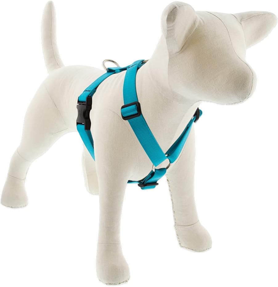 Lupine Adjustable Harness 1" Wide Aqua with 20" to 32" Adjustable Girth