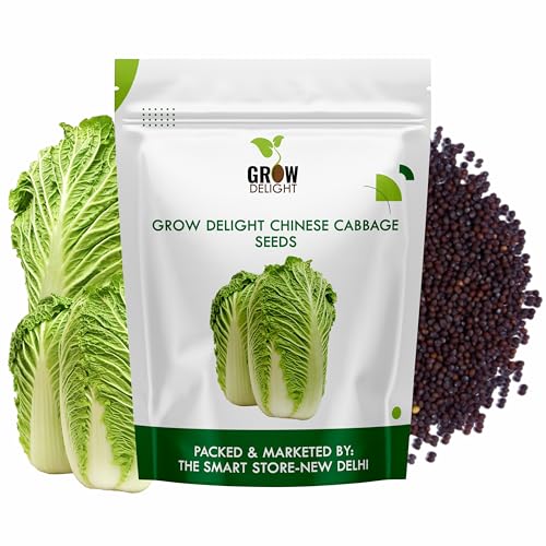 Image of Chinese Cabbage 100+ Vegetable Seeds for Home Garden