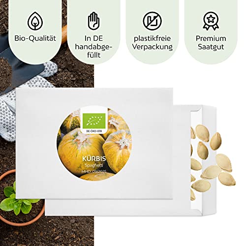 BIO Kürbis Samen (Spaghetti, 5 Korn) - Kürbis Saatgut aus biologischem Anbau ideal für die Anzucht im Garten, Balkon oder Terrasse