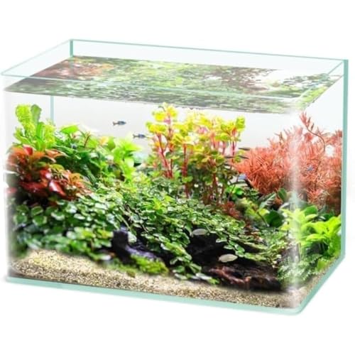 �T�̐��Ԃ��߃f�B�B�A���[�[�����O�����K���X�M�p�Ȑ����K���X�e��f�X�N�g�b�v�������i���C�A�E�g�C�T�̐��� (a,40x24x25CM)