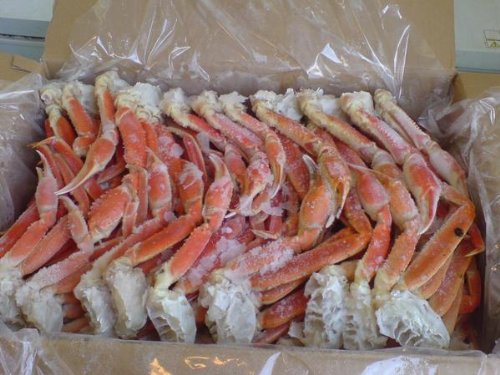 󂠂ioCLOKi{C{YCJjQL`SL (5kg)