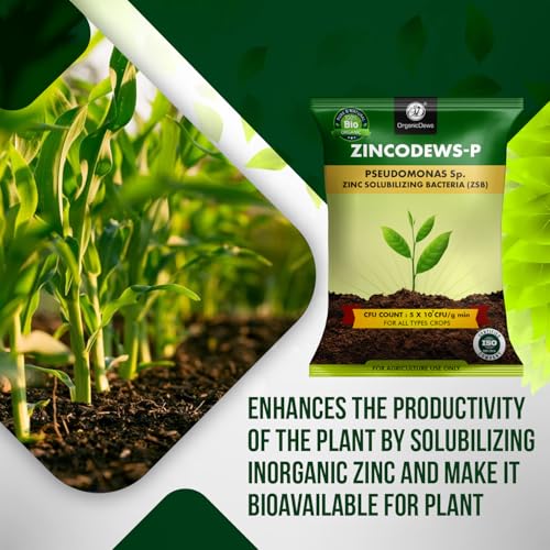 Image of OrganicDews Zinc Solublizing Bacteria Bio Fertilizer 250 g (5x10^7 CFU /g) for Plants - Soil Fertility, Faster Plant Growth and Increases the Yield 250 g