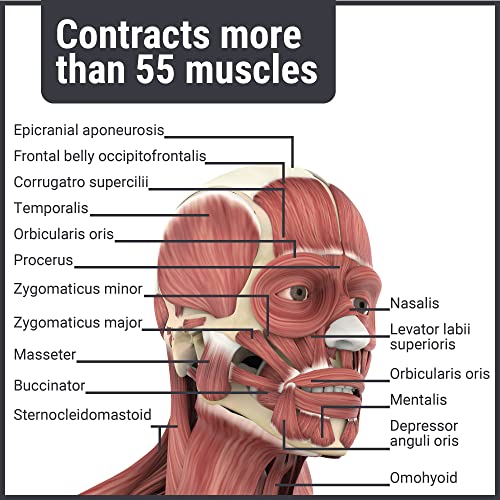 Highline Jaw line Shaper Mascella Esercizio Uomo
