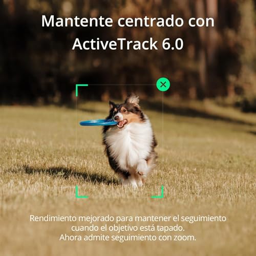 Opiniones de Estabilizadores - los preferidos. 3 Estabilizadores marca DJI (3)