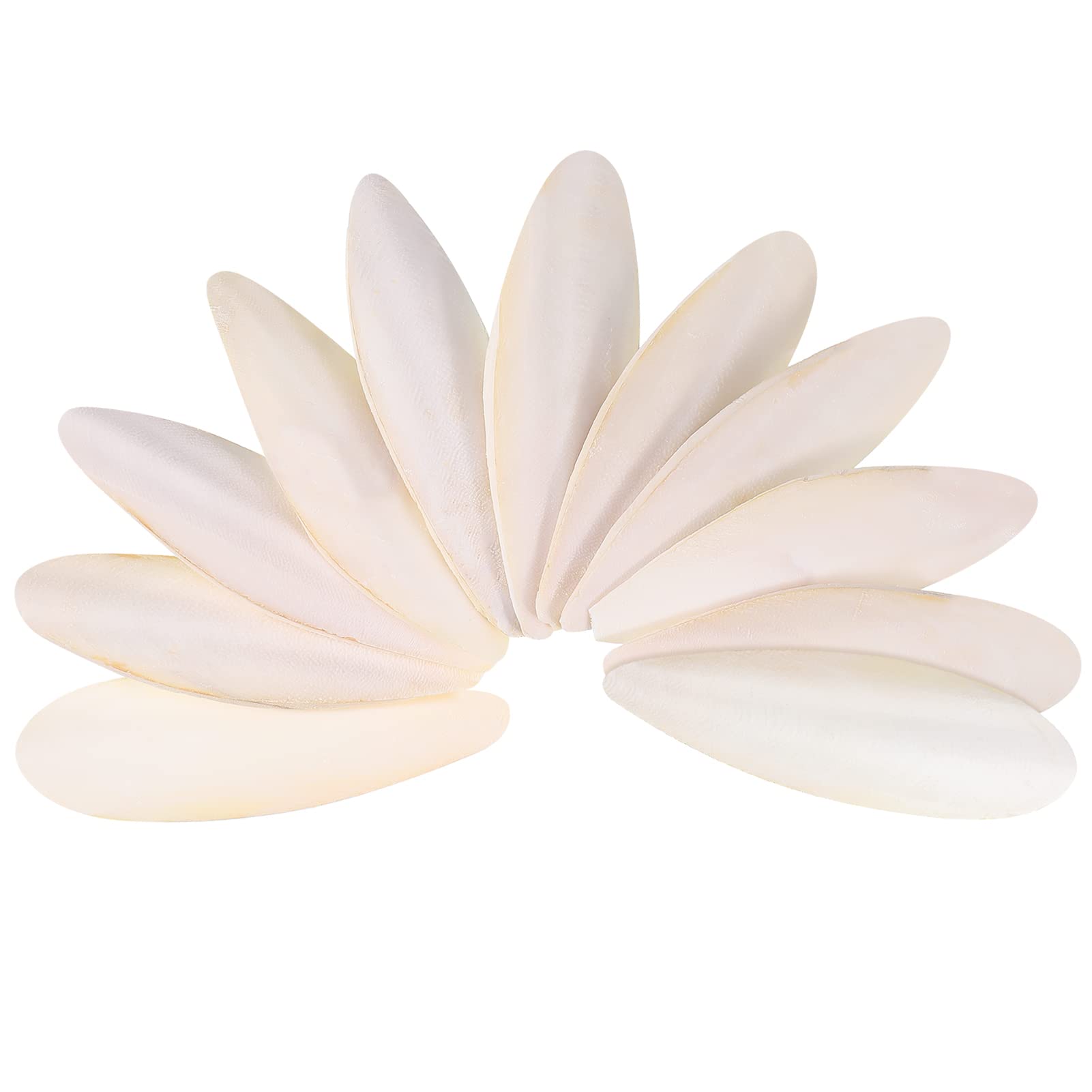 11pcs Cuttlefish Bone,8-10cm Cuttlebone Chewing Toys for Parrots Birds Reptiles Tortoises Snails