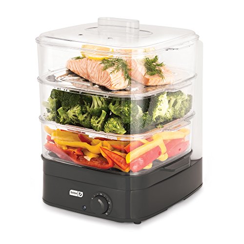Dash DIS001GY Instant Food Steamer, Gray