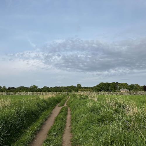 Guter Gott, an Pfingsten