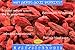 Dried Goji Berries (Wolfberry) By Gerbs No Sugar Added - 2 LBS Premium Grade - Top 10 Food Allergen Free - Sulphur Dioxide & Potassium Sorbate Free - Country of Origin: Canada - Packaged in Rhode Island