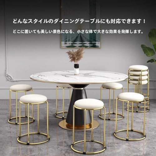 PVTKスタッキングスツール レザースツール 軽量 業務用 ソフトレザー座面 チタン脚 重ね置き可能 省スペース 会議室 ホテル レストラン 店舗 エントランス 家庭用 オフィス用 おしゃれ 椅子 (F,1) [3]