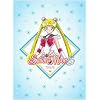 Sailor Moon S the Movie (DVD)