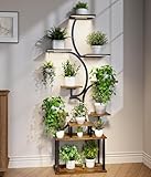 Plant Stand Indoor with Grow Lights - 9-Tier Curved Plant Stand, Tall Metal and Wood Indoor Plant Shelf with Unique Arched Design, Multi-Tier Flower Pot Holder Rack with Waterproof Finish, 63' Tall for Living Room, Balcony, and Garden