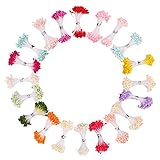 DECORA 20 Bundles 1700 Pieces Assorted Color 3mm Pearl Flower Stamen for Card Making Decoratiaon