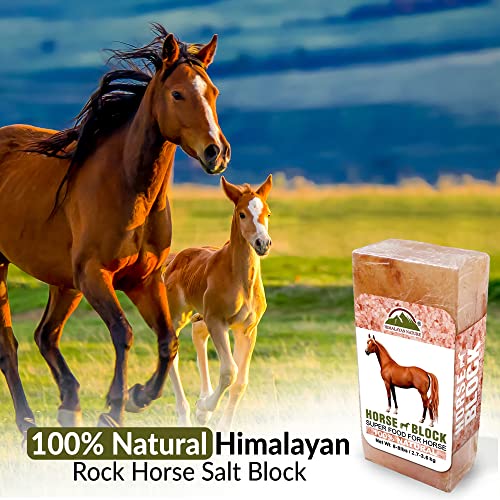 Himalayan Nature 100% Natural Himalayan Rock Salt Block - Mineral Salt Licking Brick For Animals, Horses & Deer | 5 Lbs, 5-8 Lbs #TOP3