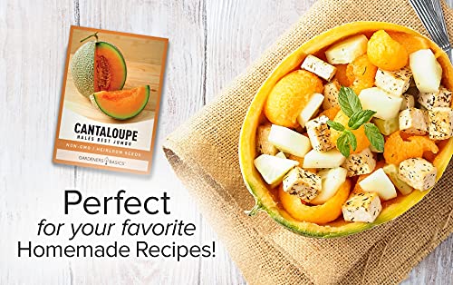Cantaloupe Seeds For Planting - Hales Best Jumbo Heirloom, Non-Gmo Vegetable Variety- 1 Gram Approx 45 Seeds Great For Summer Melon Gardens By Gardeners Basics #TOP2