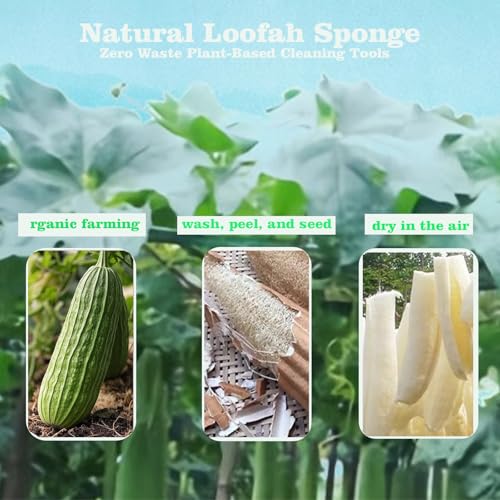Image of 3-Pack Natural Dish Sponge Natural Loofah Sponges - Handheld Kitchen Dish Scrubber for Grease Removal, Plastic-Free Cleaning Tool