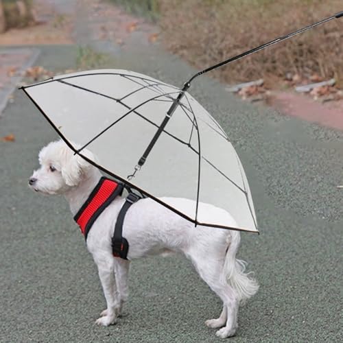 Paraguas con correa para perro a prueba de nieve con mango en C para pasear en invierno 4