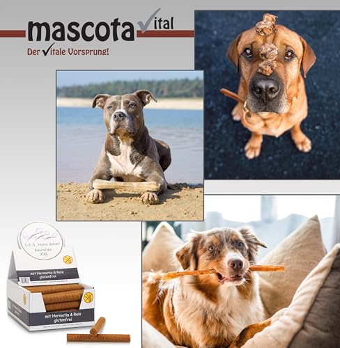 123... Hund dabei! - Kaurollen XXL 50er Tray (Hermetia/Insekten) - Dentalkaurolle - Glutenfrei - Vorteilspaket - Kaustangen für Hunde - Kausticks - Zahnpflege - Kaurollen für Hunde