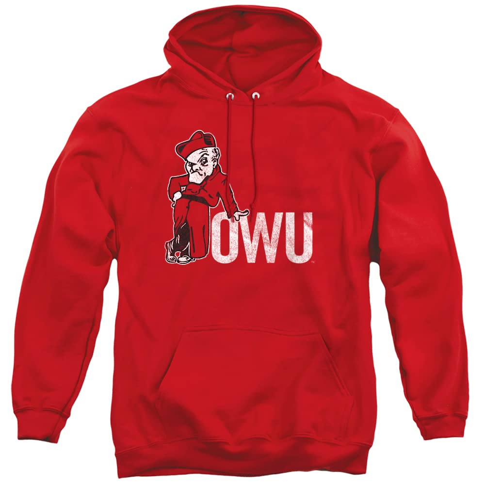 LOGOVISION Official Collegiate Distressed Primary Logo Adult Pullover Hoodie Collection — view 74