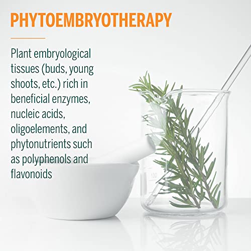 Genestra Brands Imu-Gen | Sea Buckthorn, English Walnut, And Dog Rose Herbal Supplement | 0.5 Fl. Oz. #TOP6