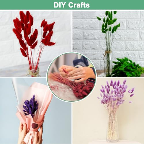 120 unidades de hierba Bunny Tails decorativa seca miniatura 5