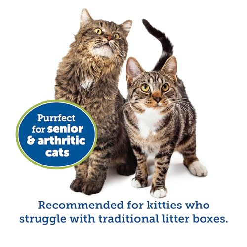 Arenero KittyGoHere para gato senior tamaño pequeño azul miniatura 3