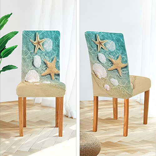 Alaza Chair Covers For Dining Room, Starfish And Seashell On The Summer Beach Stretch Chair Cover Sets Chair Protector Removable Washable For Ktichen Restaurant Hotel #TOP4
