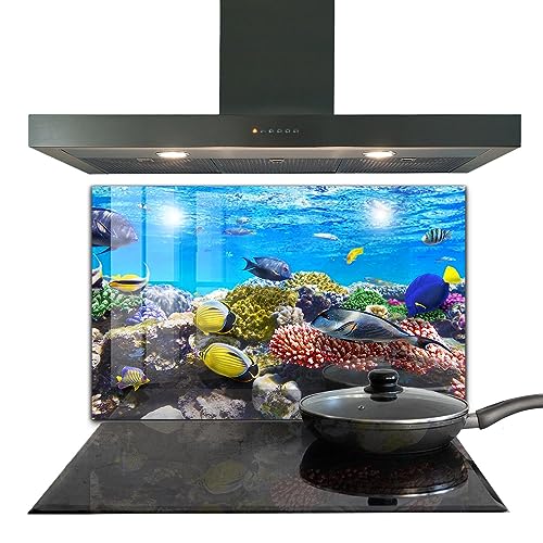 Panneau de cuisine récif corallien Wallfluent pour protéger et décorer le mur - 2