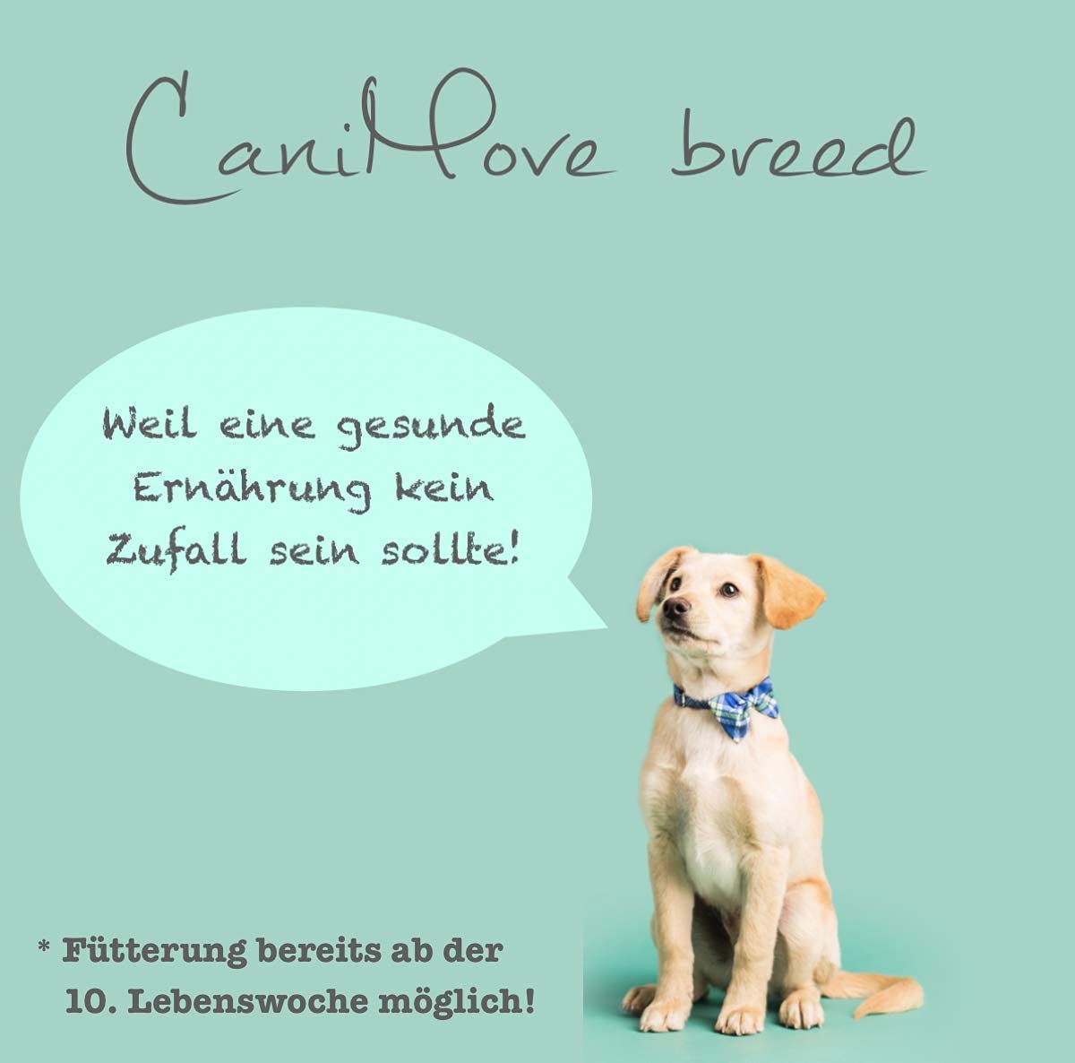 Breed Doppelpack, 2 Pkg mit je 100 Stick-Beuteln (100 x 2,5g), Ergänzungsfutter für Welpen und Junge Hunde für eine optimale Entwicklung von Knochen, Gelenken und Nerven.