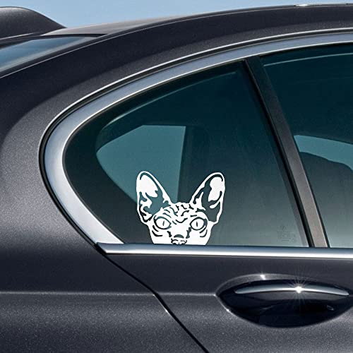 Image of WIRESTER 6 inch Clear Vinyl Decal Sticker Decoration for Car Window (Or Any Flat Surface) - Wrinkled Skin Sphynx