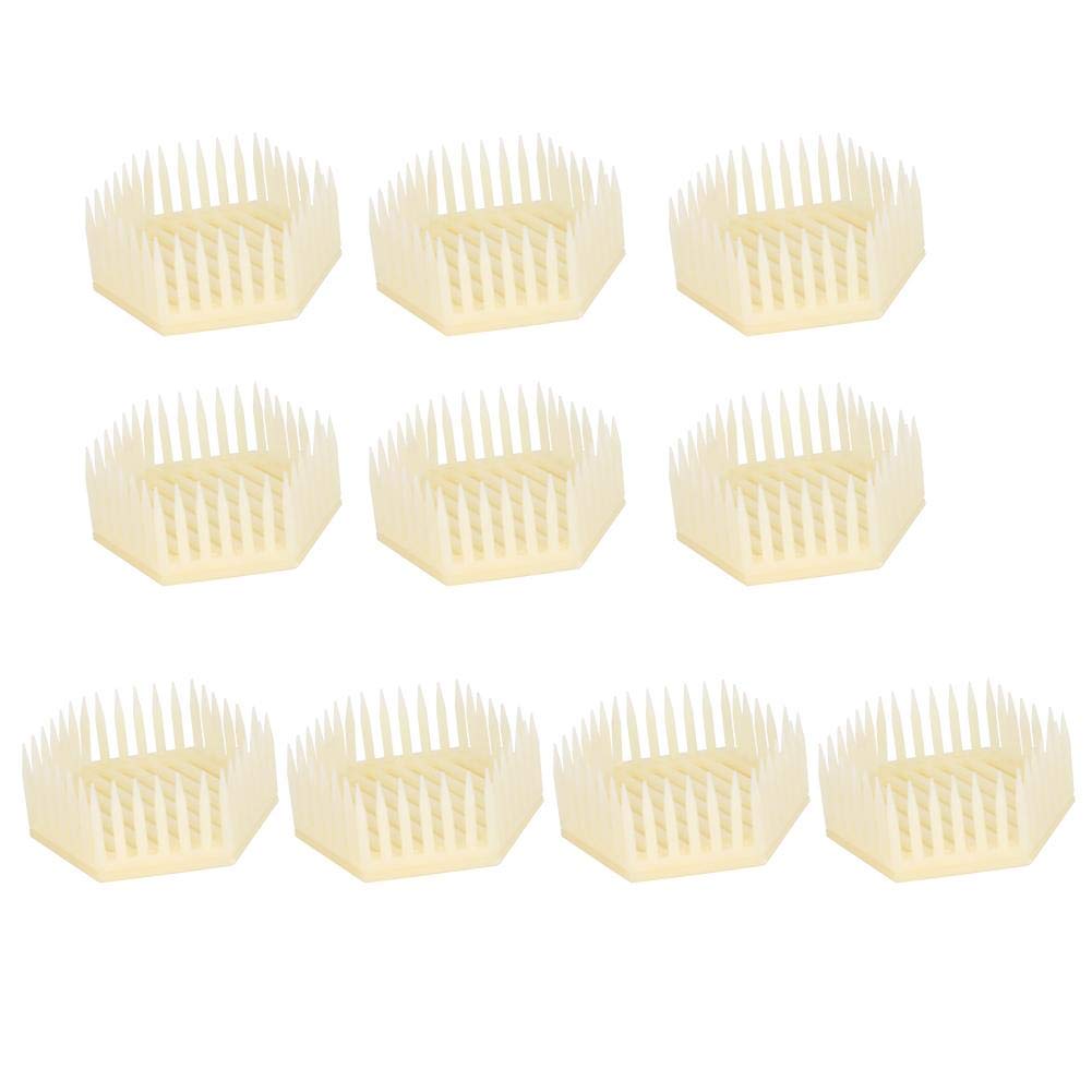 Kit Apicoltore 10 Pezzi Gabbia Regina Per Apicoltura In Plastica - Confezione Da 10 Pezzi Esagonali (8x7x4,4 Cm) Gabbie Regina Api