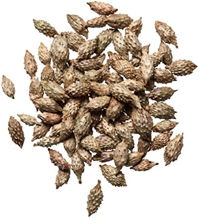 Plum Dragon Herbs Cang Er Zi Chinese Herb | Cocklebur Fruit Herb - Chinese Herb (1 Lb)