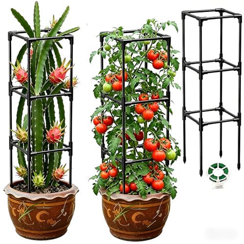 Dragon Fruit Trellis for Climbing Plants Indoor Outdoor Heavy Duty Metal Adjustable Vertical Garden Support for Indoor Outdoor Potted Plants Tomato Cactus Roses Vines(10 * 10 * 47inch 1PC)