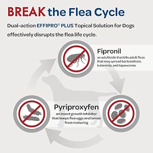 Effipro Plus Topical Solution for Dogs - Dog Flea and Tick Treatment for Large Dogs (45-88.9lbs), 3 Doses, Waterproof Topical Prevention (by Virbac) Effipro Plus Topical Solution for Dogs – Dog Flea and Tick Treatment for Large Dogs (45-88.9lbs), 3 Doses, Waterproof Topical Prevention (by Virbac)