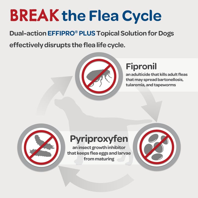 Effipro Plus Topical Solution for Dogs – Dog Flea and Tick Treatment for Large Dogs (45-88.9lbs), 3 Doses, Waterproof Topical Prevention (by Virbac) Effipro Plus Topical Solution for Dogs – Dog Flea and Tick Treatment for Large Dogs (45-88.9lbs), 3 Doses, Waterproof Topical Prevention (by Virbac)