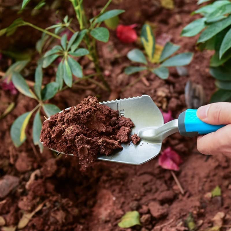 Ensemble d'outils de Jardin en Alliage d'aluminium Costume Trois pièces cultivant la Plantation truelle pelles transplanteur