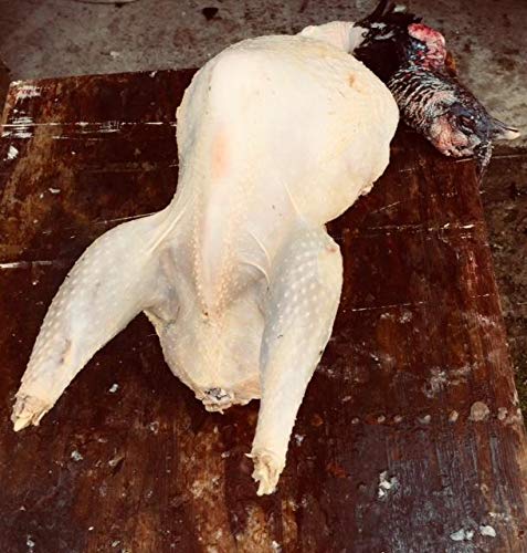 TRAUB SUPPLY FARM DUCK WAX-10 LBS.