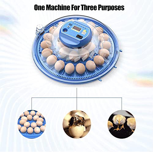 AJLDN Brutmaschine Vollautomatisch, 52 Eier Brutschrank Mit Temperaturkontrolle Funktion Digitales Brutmaschine für Eier… – Bild 5