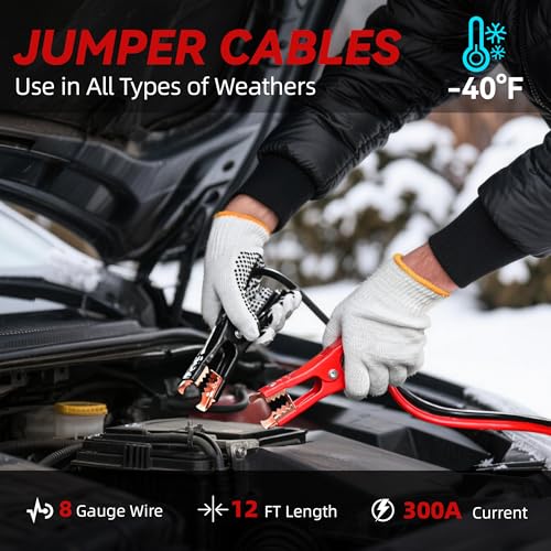 Car Kit with Snow Brush & Ice Scraper
