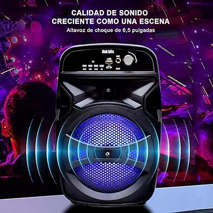 Bocinas, Wireless cono bocina Marca LINK BITS (3)