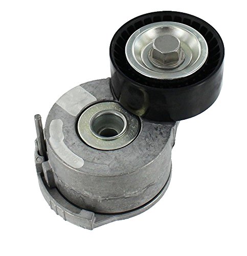 Skf Vkm 33205 Kit Tendicinghia