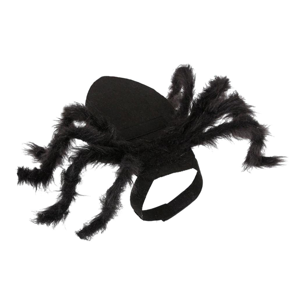 Loom Tree Funny Spider Style Pet Cat Dog Costume Clothes for Small Pet Cat Dog Dog Supplies | Clothing & Shoes (B0B2P2VBHP) Amazon Price History, Amazon Price Tracker