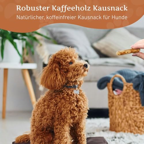 Wildfang® Kaffeeholz für Hunde – natürliches, unzerstörbares Kauspielzeug aus Kauholz für Aggressive Kauer & Welpen im Zahnwechsel, Zahnpflege Spielzeug Hund, Größe XXS (unter 5 kg)